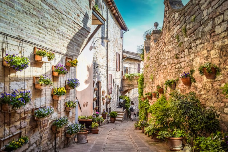 Vasi di fiori lungo un vicolo